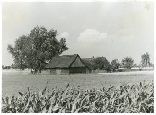        Zdj: 2478 
Dodane: 2020.04.19