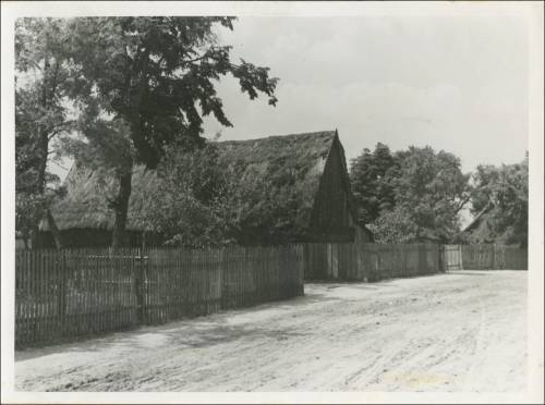        Zdj: 2479 
Dodane: 2020.04.19