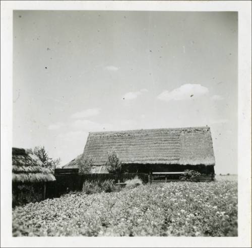 Zdj: 2480
Dodane: 2020.04.19