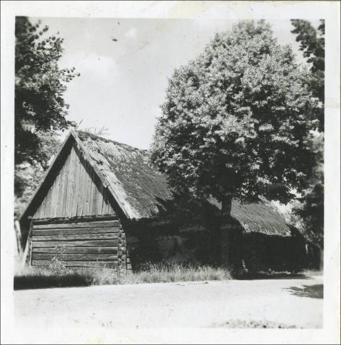 Zdj: 2481
Dodane: 2020.04.19