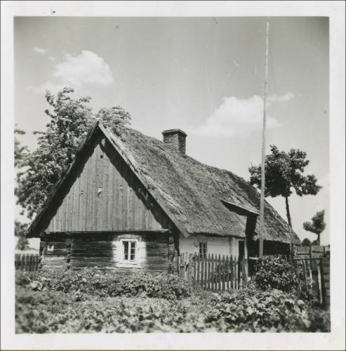 Zdj: 2482
Dodane: 2020.04.19