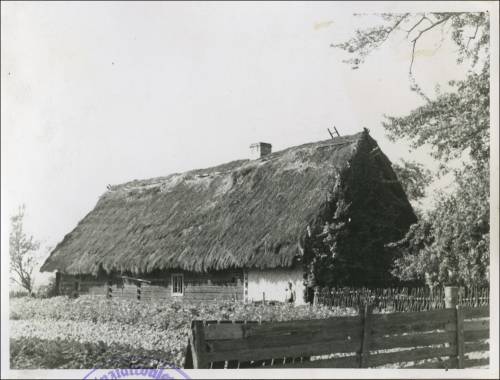 Zdj: 2483
Dodane: 2020.04.19