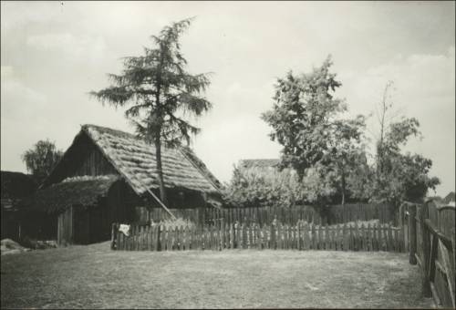        Zdj: 2484 
Dodane: 2020.04.19