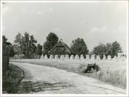 Zdj: 2487
Dodane: 2020.04.19