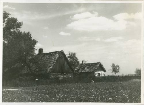 Zdj: 2488
Dodane: 2020.04.19