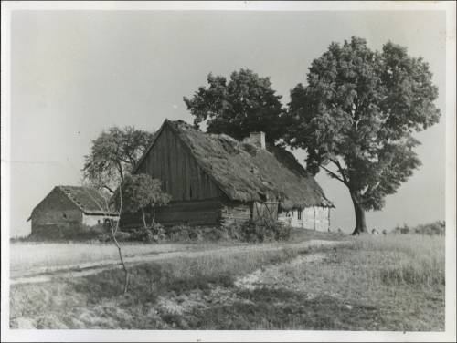 Zdj: 2489
Dodane: 2020.04.19