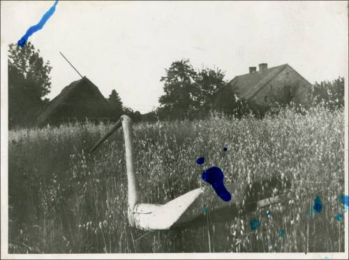        Zdj: 2492 
Dodane: 2020.04.19