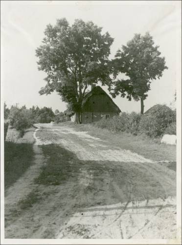 Zdj: 2493
Dodane: 2020.04.19