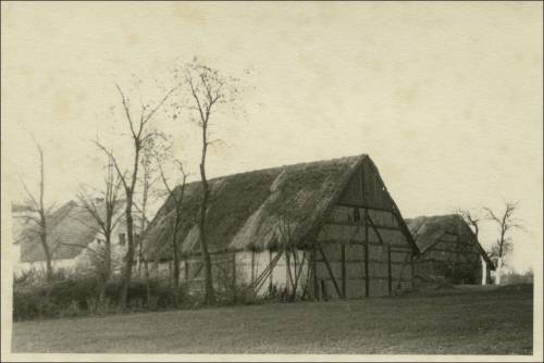        Zdj: 2494 
Dodane: 2020.04.19