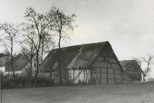 Zdj: 2495
Dodane: 2020.04.19