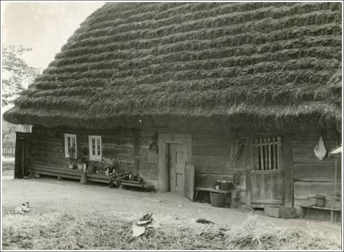 Zdj: 2499
Dodane: 2020.04.26