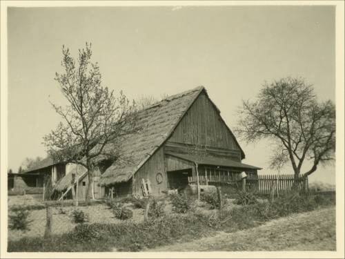        Zdj: 2501 
Dodane: 2020.04.26