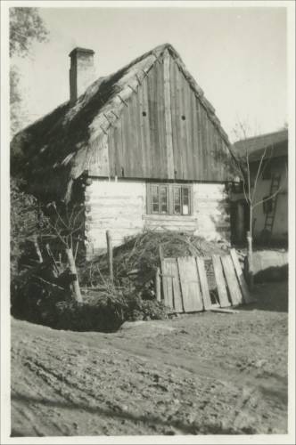 Zdj: 2502
Dodane: 2020.04.26