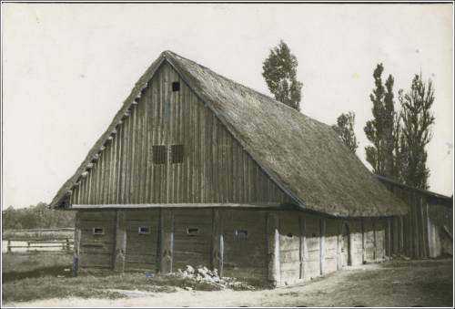 Zdj: 2527
Dodane: 2020.04.26