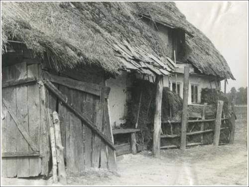 Zdj: 2537
Dodane: 2020.05.1