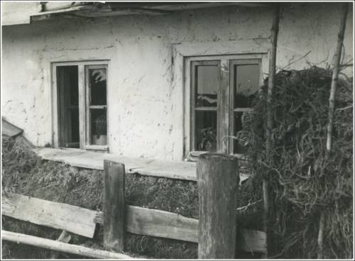 Zdj: 2540
Dodane: 2020.05.1