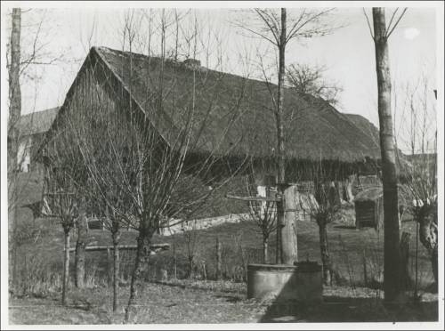 Zdj: 2549
Dodane: 2020.05.10