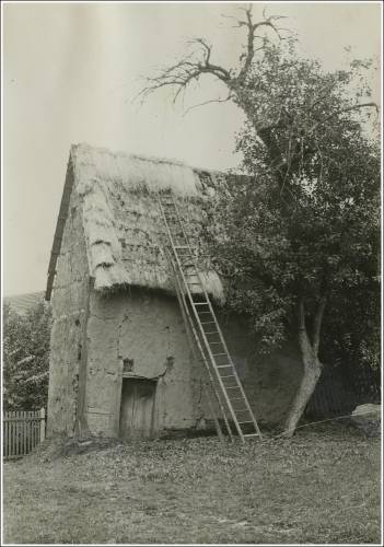 Zdj: 2550
Dodane: 2020.05.10