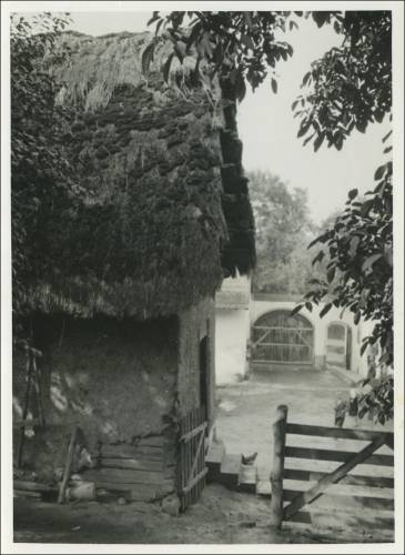        Zdj: 2558 
Dodane: 2020.05.10