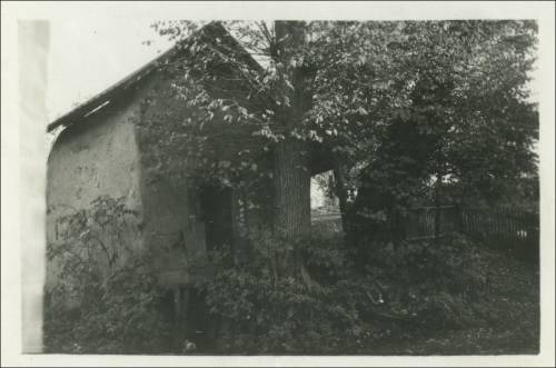        Zdj: 2559 
Dodane: 2020.05.10