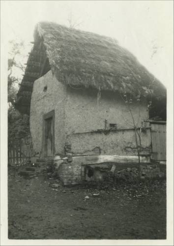        Zdj: 2561 
Dodane: 2020.05.10