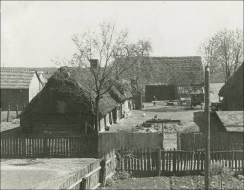 Zdj: 2575
Dodane: 2020.05.17