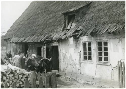 Zdj: 2580
Dodane: 2020.05.17