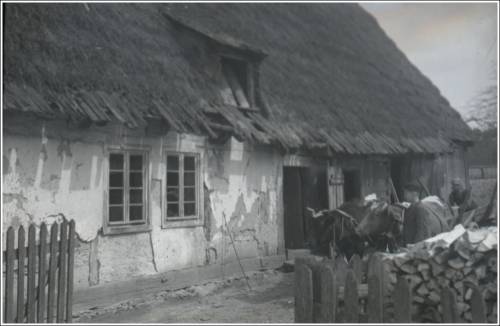 Zdj: 2582
Dodane: 2020.05.17