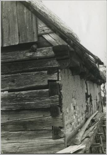 Zdj: 2583
Dodane: 2020.05.17