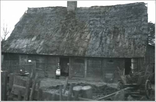 Zdj: 2584
Dodane: 2020.05.17