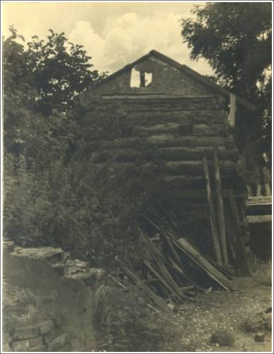 Zdj: 2596
Dodane: 2020.05.24