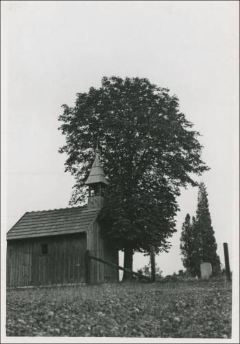 Zdj: 2598
Dodane: 2020.05.24