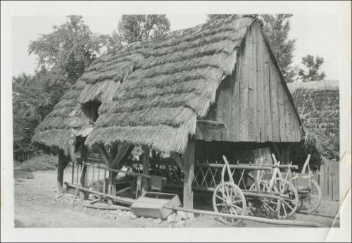 Zdj: 2603
Dodane: 2020.05.24