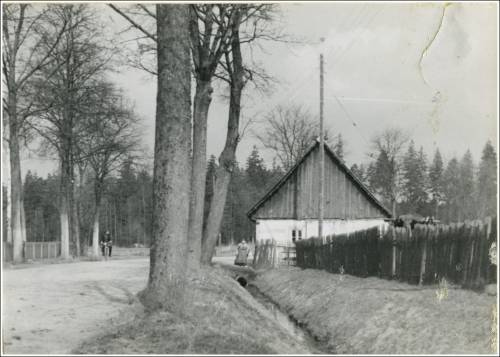 Zdj: 2618
Dodane: 2020.05.31